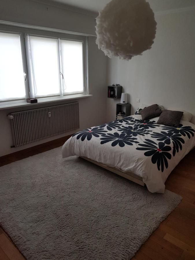 Joli Appartement Calme Et Spacieux, Proche Strasbourg Duppigheim Dış mekan fotoğraf